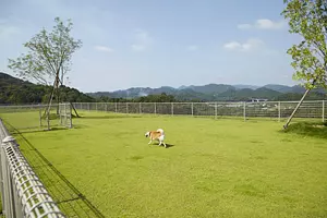ani TERRACEの1周年記念イベント