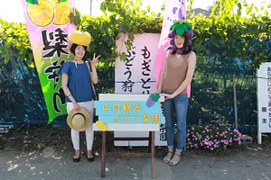 山口観光ぶどう梨園・なし狩り