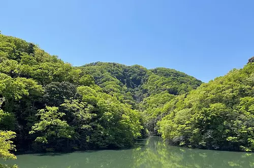 フクロウをシンボルとした生物多様性のある森づくりプロジェクト(11/20巣箱づくりも開催)