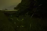 鈴鹿ほたるの里