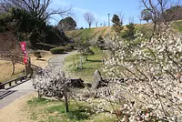 南部丘陵公園