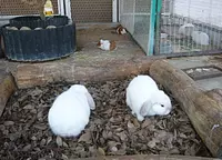 南部丘陵公園