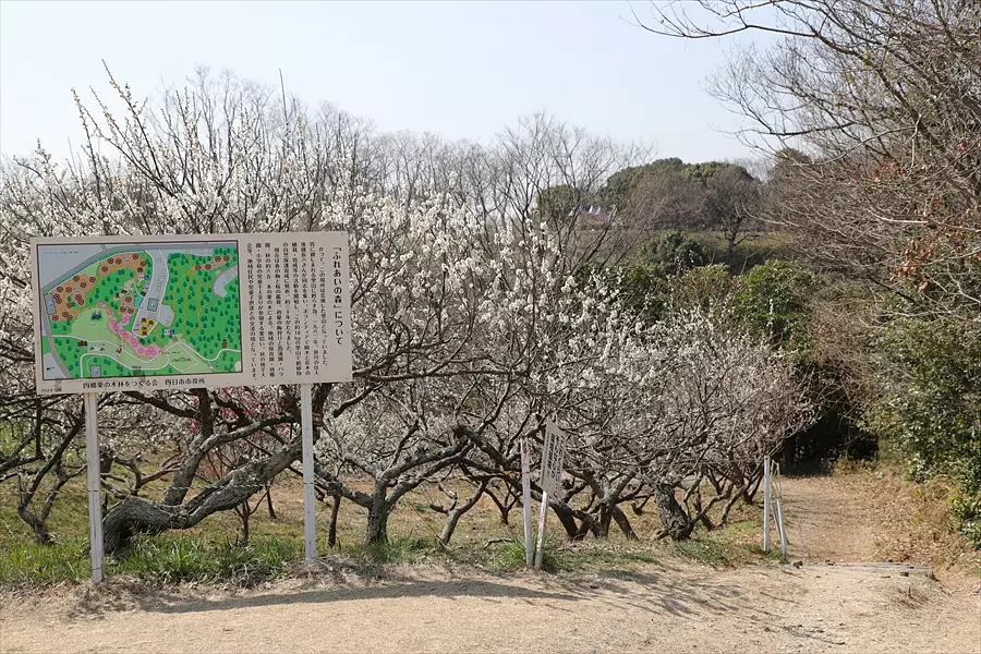 日永梅林 南部丘陵公園