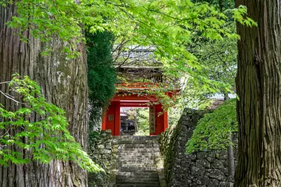 桜と蔵王権現（ざおうごんげん）、三重県にあるミニ吉野？ 御嶽山真福院(みたけさん しんぷくいん)
